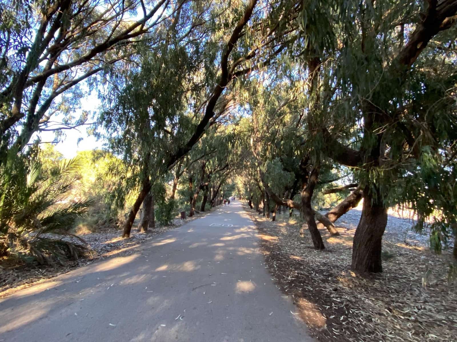 2 soveværelse Lejlighed til salg i Guardamar del Segura - € 228.000 (Ref: 9637714)