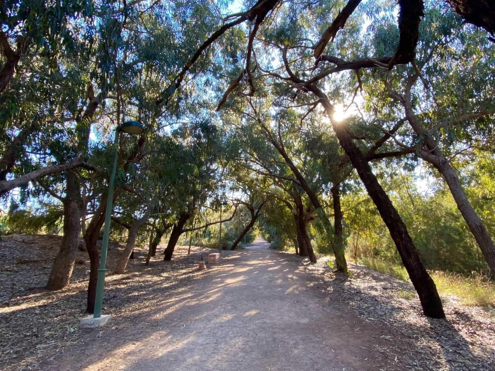 4 quarto Moradia em Banda para venda em Guardamar del Segura com garagem - 285 000 € (Ref: 9701722)