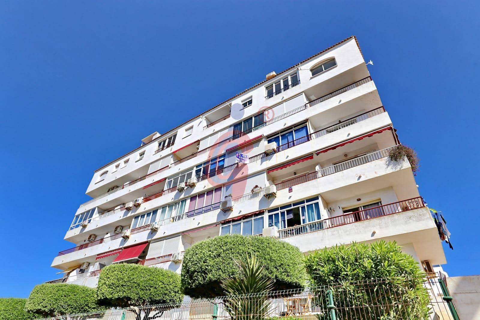 Studio til salg i La Mata med swimmingpool - € 78.500 (Ref: 9806558)