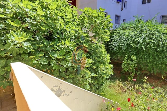 3 soveværelse Erhverv til salg i Zona Pueblo, Guardamar del Segura - € 357.000 (Ref: 9851881)
