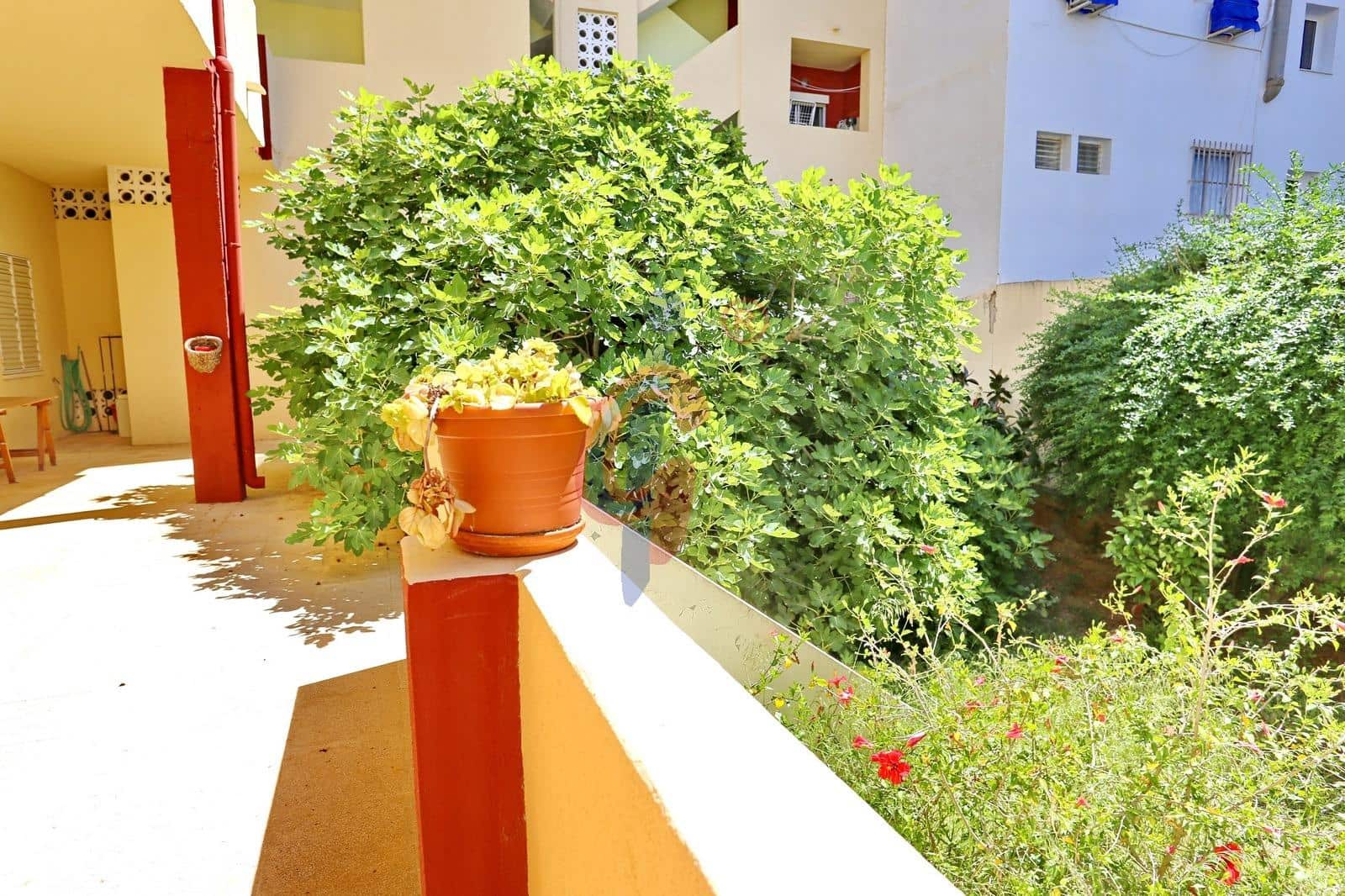3 bedroom Commercial for sale in Guardamar del Segura - € 357,000 (Ref: 9851881)