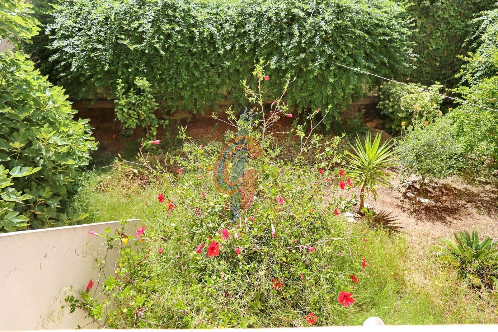 3 bedroom Commercial for sale in Guardamar del Segura - € 357,000 (Ref: 9851881)