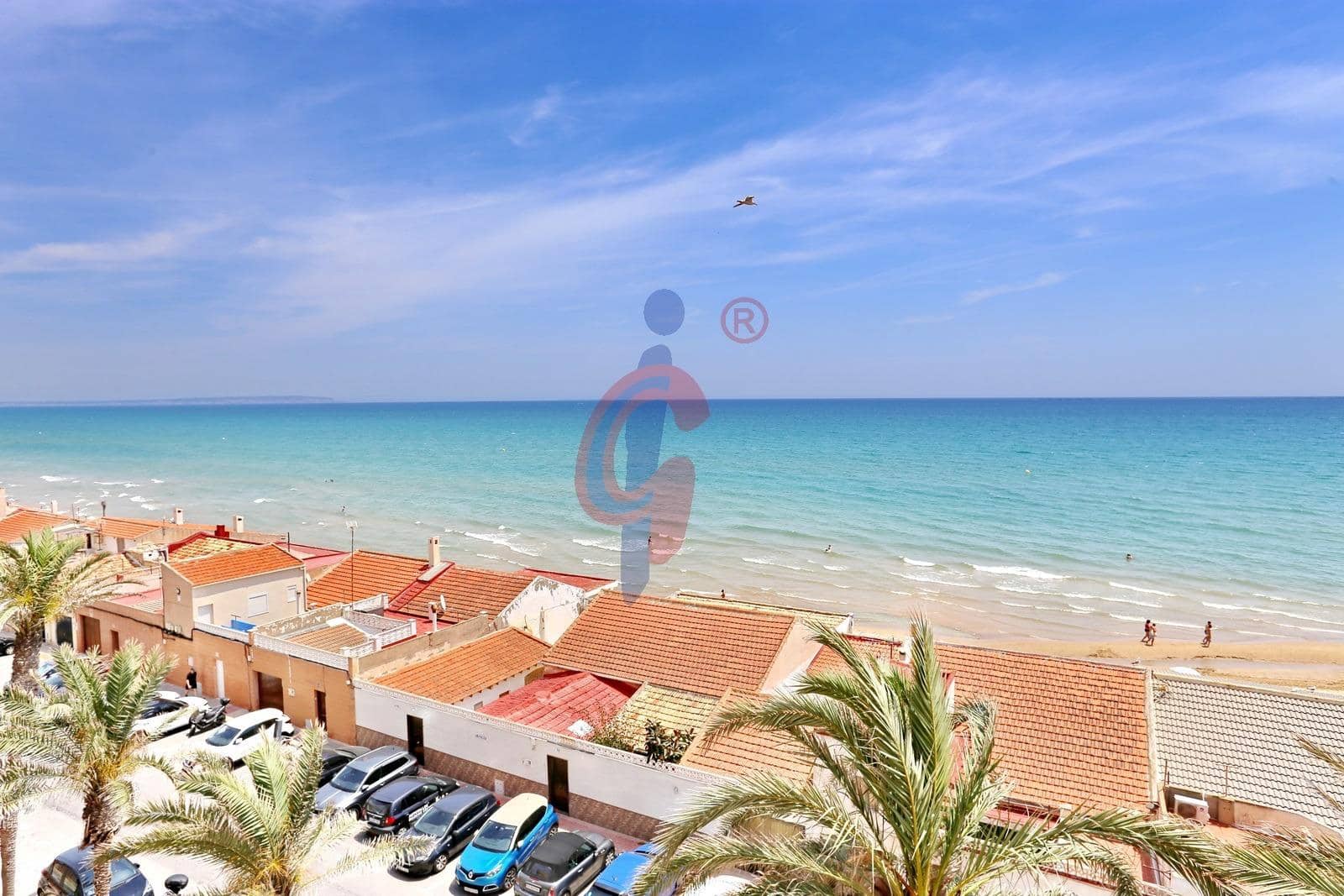 Apartamento de 2 habitaciones en Guardamar del Segura en alquiler con garaje - 1.000 € (Ref: 9882008)