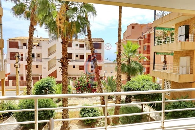 Piso de 1 habitación en Guardamar Playa, Guardamar del Segura en venta - 139.990 € (Ref: 9892464)
