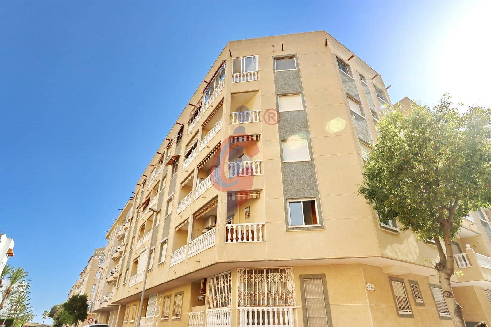 2 sypialnia Mieszkanie do wynajęcia w Guardamar del Segura - 800 € (Ref: 9915938)