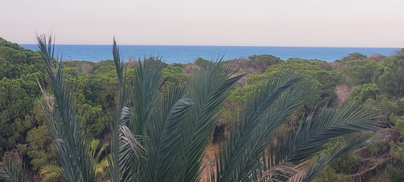 2 chambre Appartement à vendre à Guardamar del Segura - 164 500 € (Ref: 9920534)