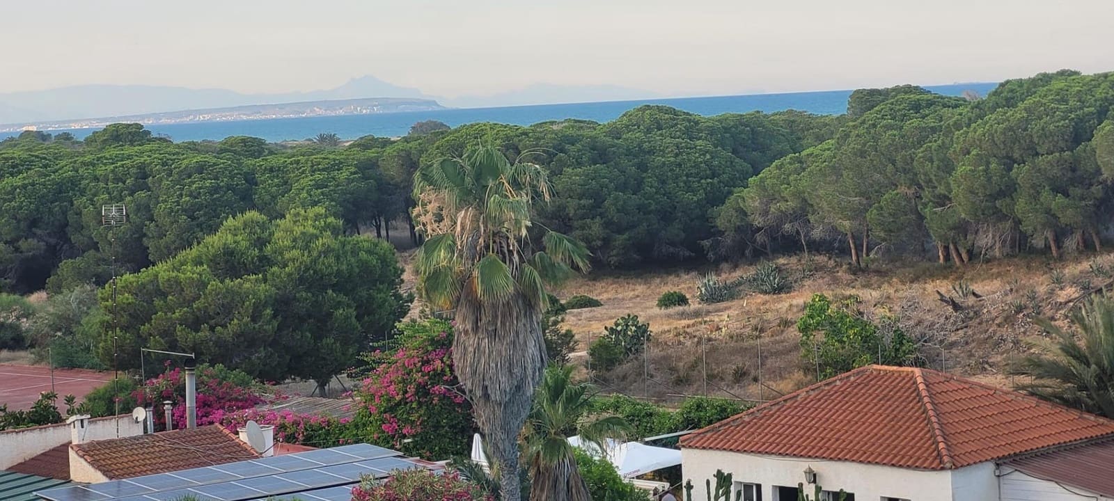 2 chambre Appartement à vendre à Guardamar del Segura - 164 500 € (Ref: 9920534)