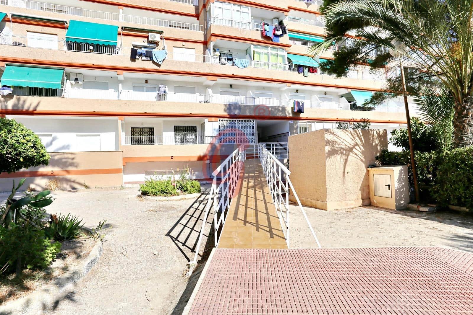 1 sypialnia Mieszkanie na sprzedaż w Guardamar del Segura - 75 000 € (Ref: 9958065)