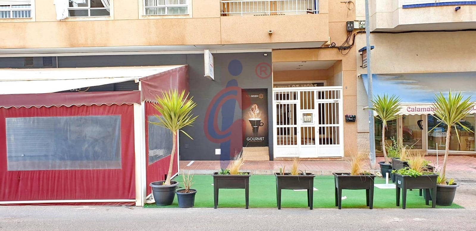 Studio til leje i Guardamar del Segura - € 600 (Ref: 9977415)