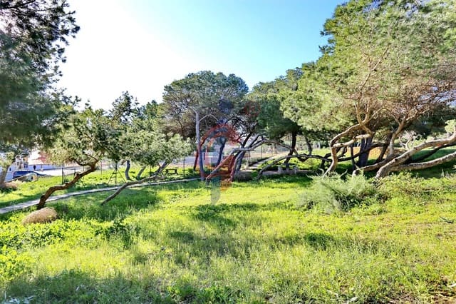 Garagem para arrendar em Guardamar Playa, Guardamar del Segura - 120 € (Ref: 9997195)
