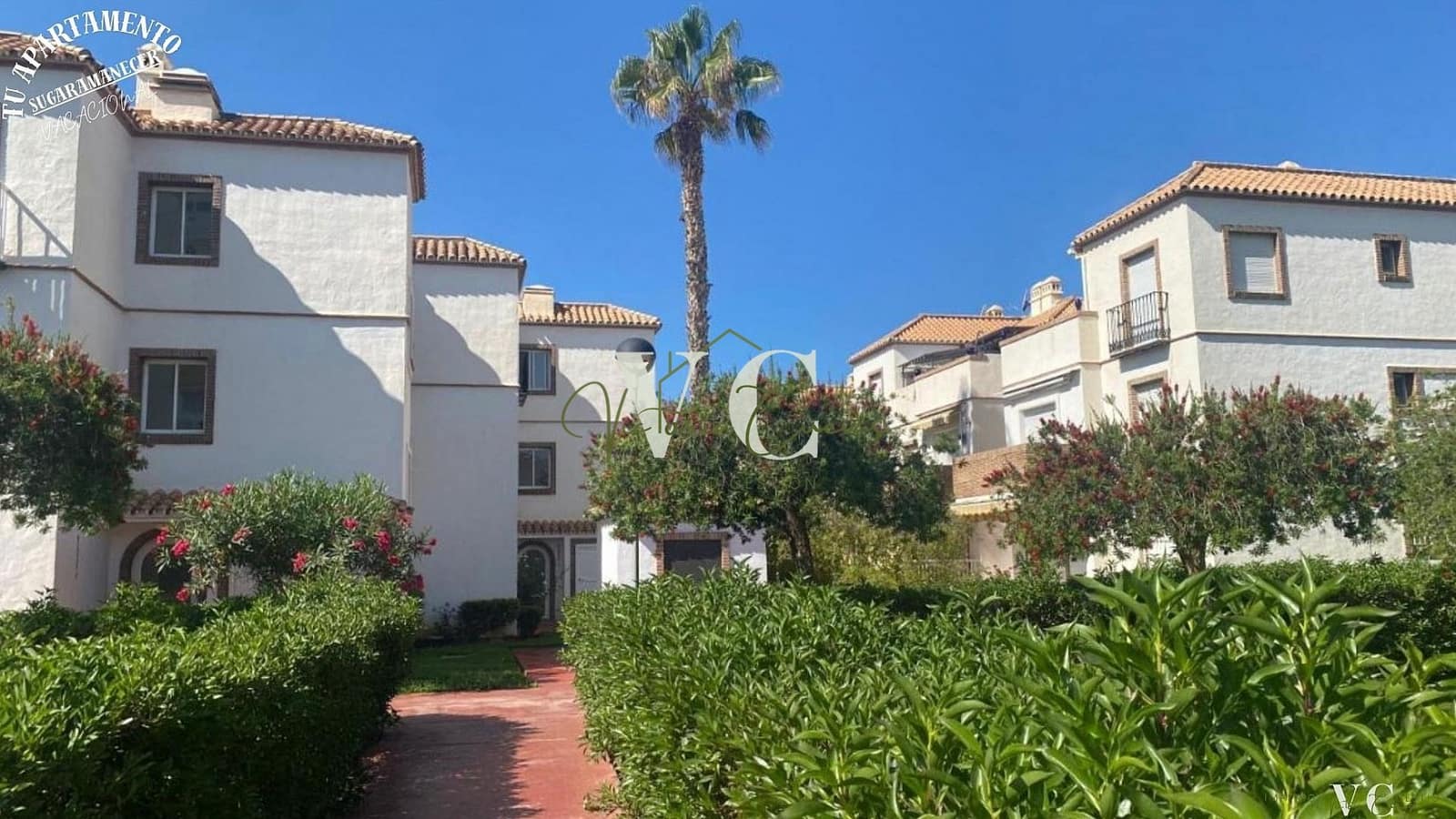 2 soveværelse Lejlighed til leje i Torrox med swimmingpool - € 800 (Ref: 9194271)