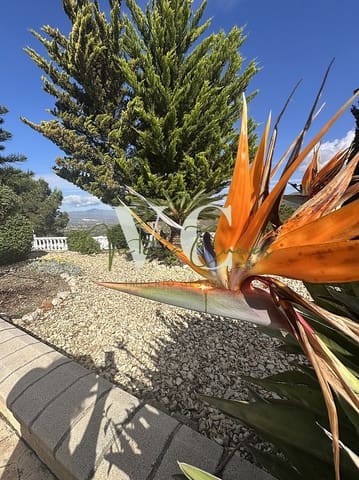 4 Zimmer Villa zu verkaufen in Arenas mit Pool Garage - 579.000 € (Ref: 9816268)