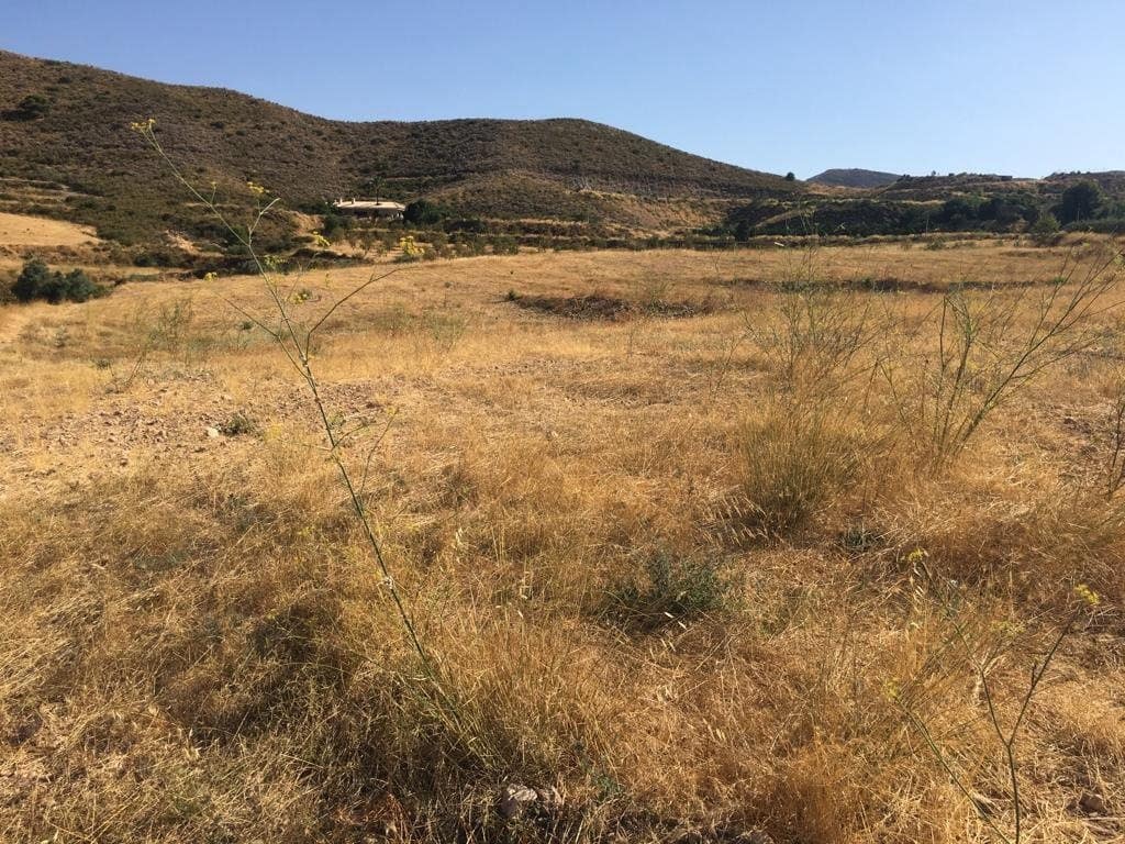 Mark till salu i Lorca - 65 000 € (Ref: 7807812)