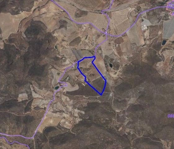 Mark till salu i Lorca - 65 000 € (Ref: 7807812)