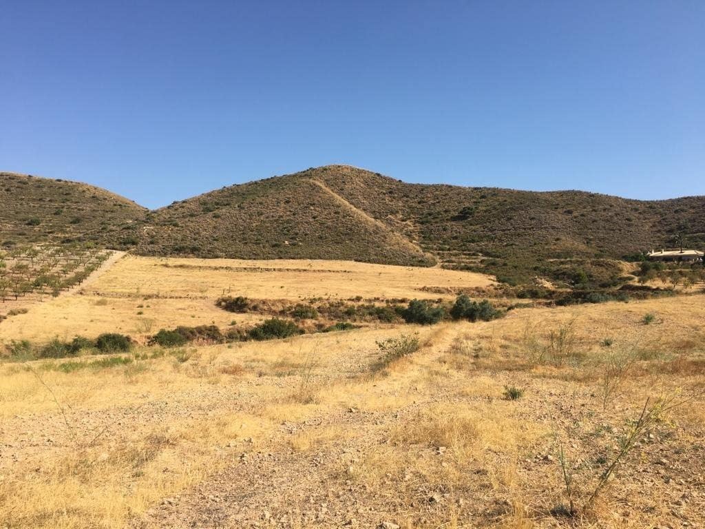 Mark till salu i Lorca - 65 000 € (Ref: 7807812)