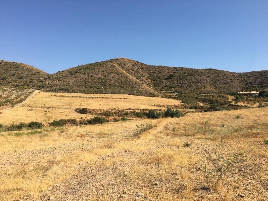 Mark till salu i Lorca - 65 000 € (Ref: 7807812)