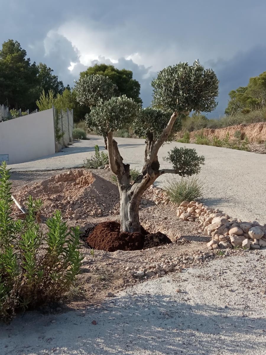 3 soveværelse Finca/Landehus til salg i Totana - € 306.000 (Ref: 8624255)