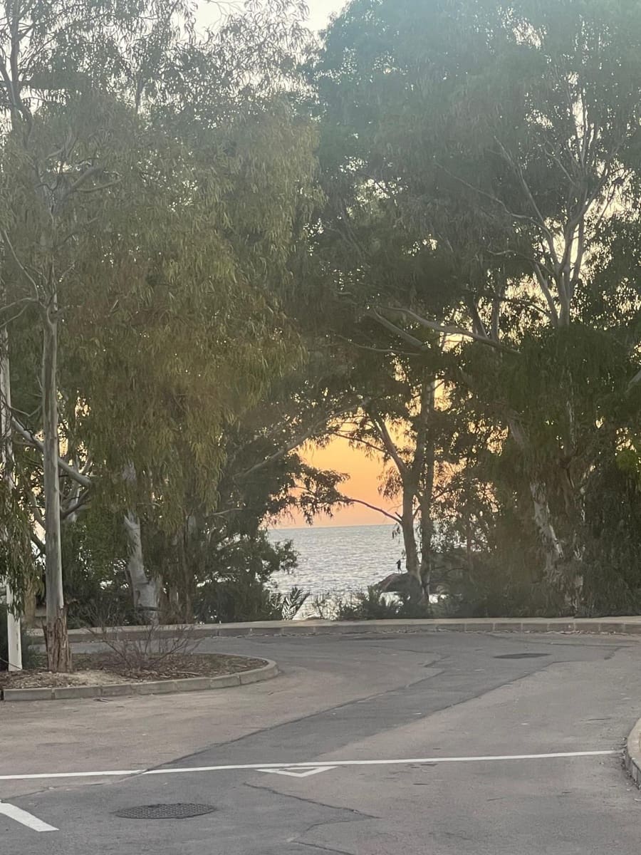 4 soveværelse Lejlighed til salg i Cartagena - € 190.000 (Ref: 8752674)