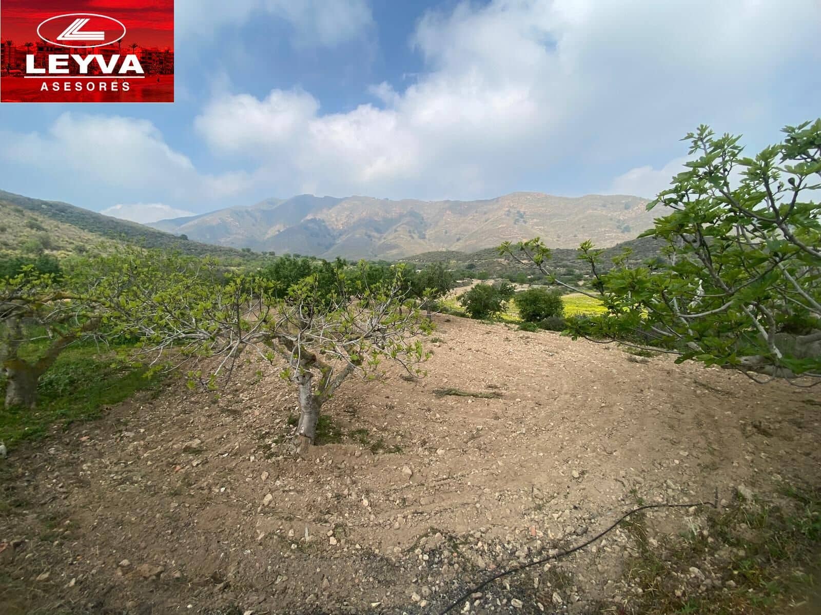 4 sypialnia Finka/Dom wiejski na sprzedaż w Las Palas z basenem garażem - 598 000 € (Ref: 8910967)