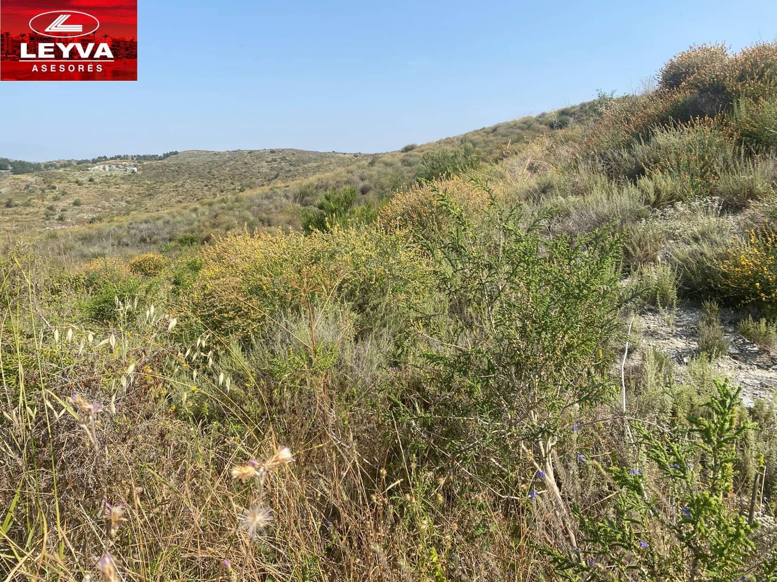 Finka/Dom wiejski na sprzedaż w Las Palas - 43 000 € (Ref: 9001364)