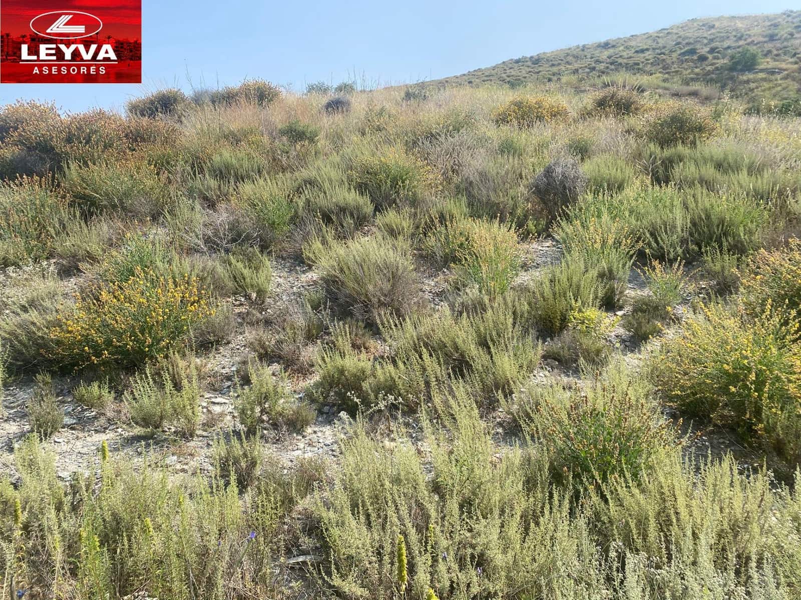 Finka/Dom wiejski na sprzedaż w Las Palas - 43 000 € (Ref: 9001364)