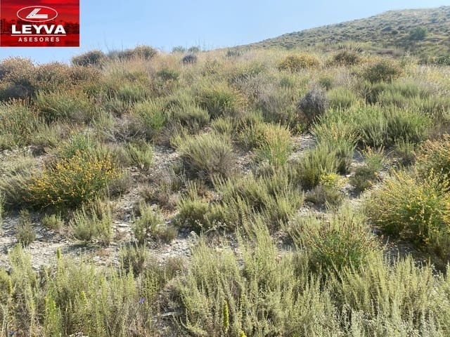 Finca/Casa di Campagna in vendita in Las Palas, Fuente Alamo de Murcia - 43.000 € (Rif: 9001364)