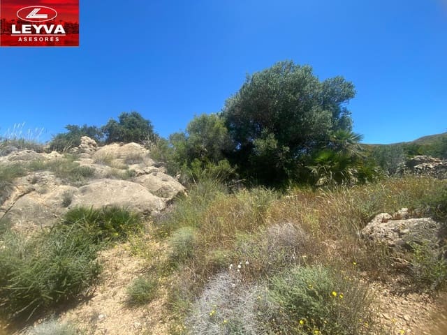 Finca/Casa di Campagna in vendita in Las Palas, Fuente Alamo de Murcia - 43.000 € (Rif: 9001364)