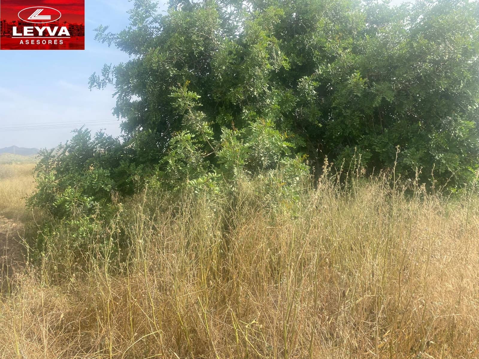 Teren niezagospodarowany na sprzedaż w Las Palas - 55 000 € (Ref: 9062235)