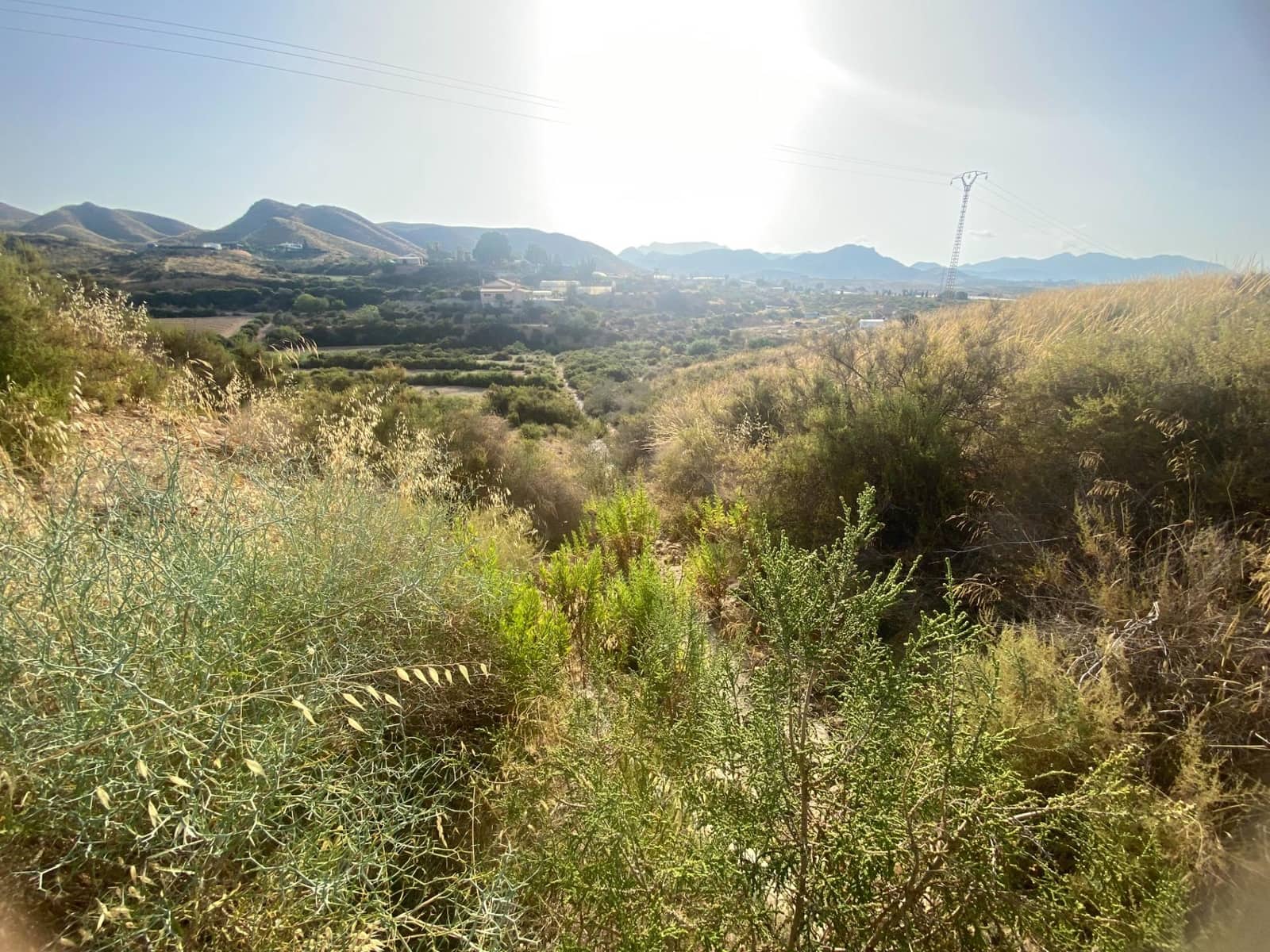 Grunde uden byggetilladelser til salg i Alamillo - € 312.000 (Ref: 9114029)