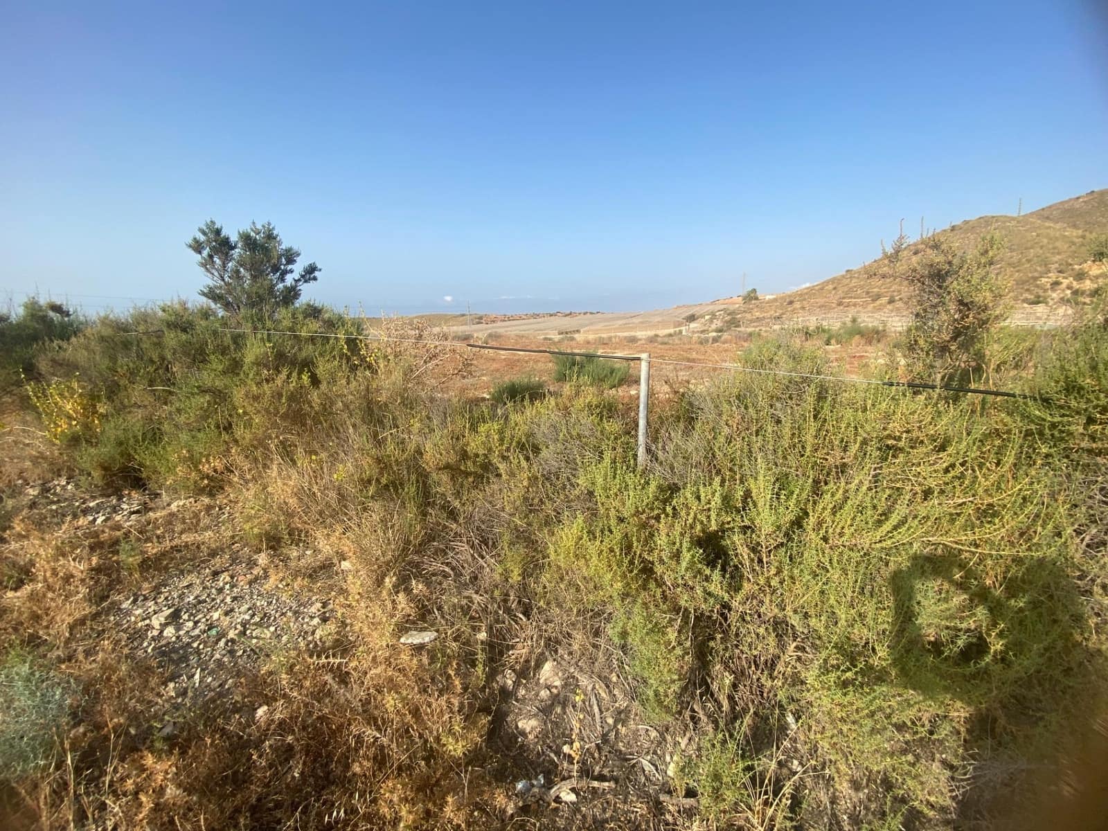 Grunde uden byggetilladelser til salg i Alamillo - € 312.000 (Ref: 9114029)