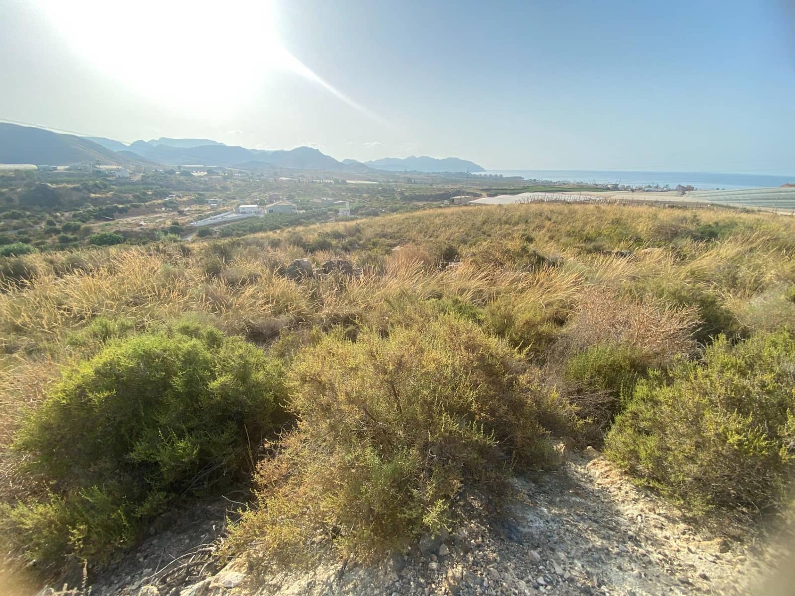 Grunde uden byggetilladelser til salg i Alamillo - € 312.000 (Ref: 9114029)