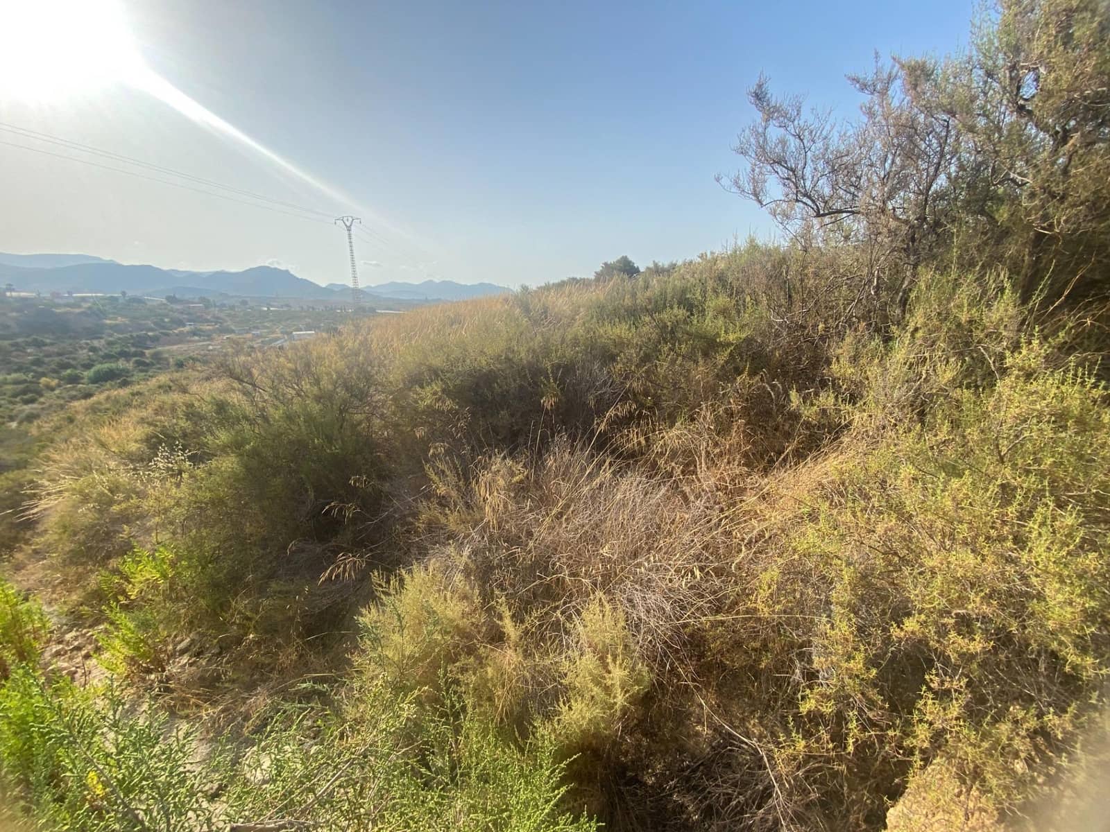 Grunde uden byggetilladelser til salg i Alamillo - € 312.000 (Ref: 9114029)