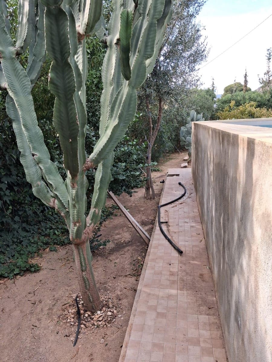 2 bedroom Finca/Country House for sale in Pastrana - € 135,000 (Ref: 9446271)