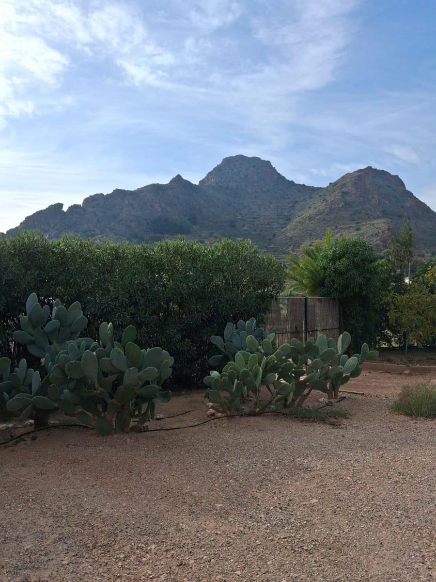 2 bedroom Finca/Country House for sale in Pastrana - € 135,000 (Ref: 9446271)