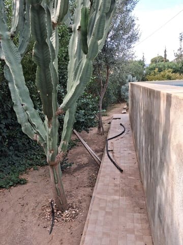 2 quarto Quinta/Casa Rural para venda em Pastrana, Mazarrón - 135 000 € (Ref: 9446271)