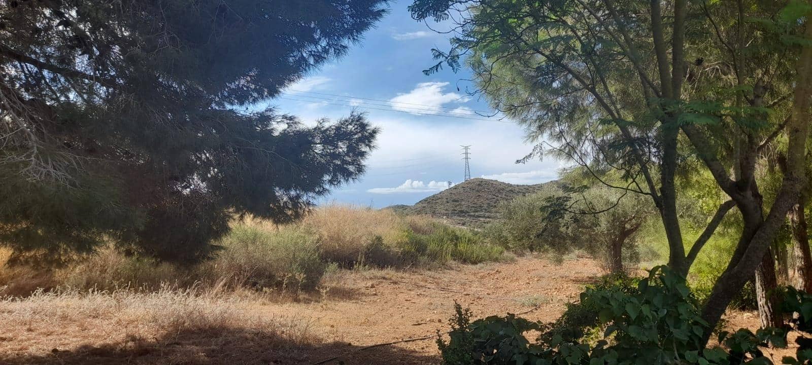 3 chambre Finca/Maison de Campagne à vendre à Las Palas avec garage - 199 900 € (Ref: 9990697)