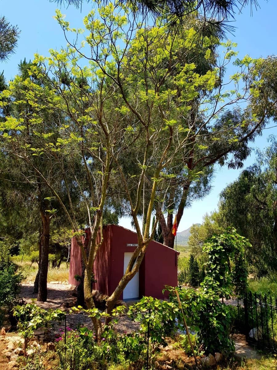 3 chambre Finca/Maison de Campagne à vendre à Las Palas avec garage - 199 900 € (Ref: 9990697)