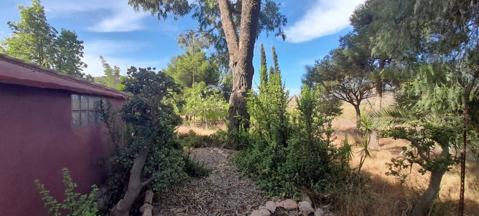 3 chambre Finca/Maison de Campagne à vendre à Las Palas avec garage - 199 900 € (Ref: 9990697)