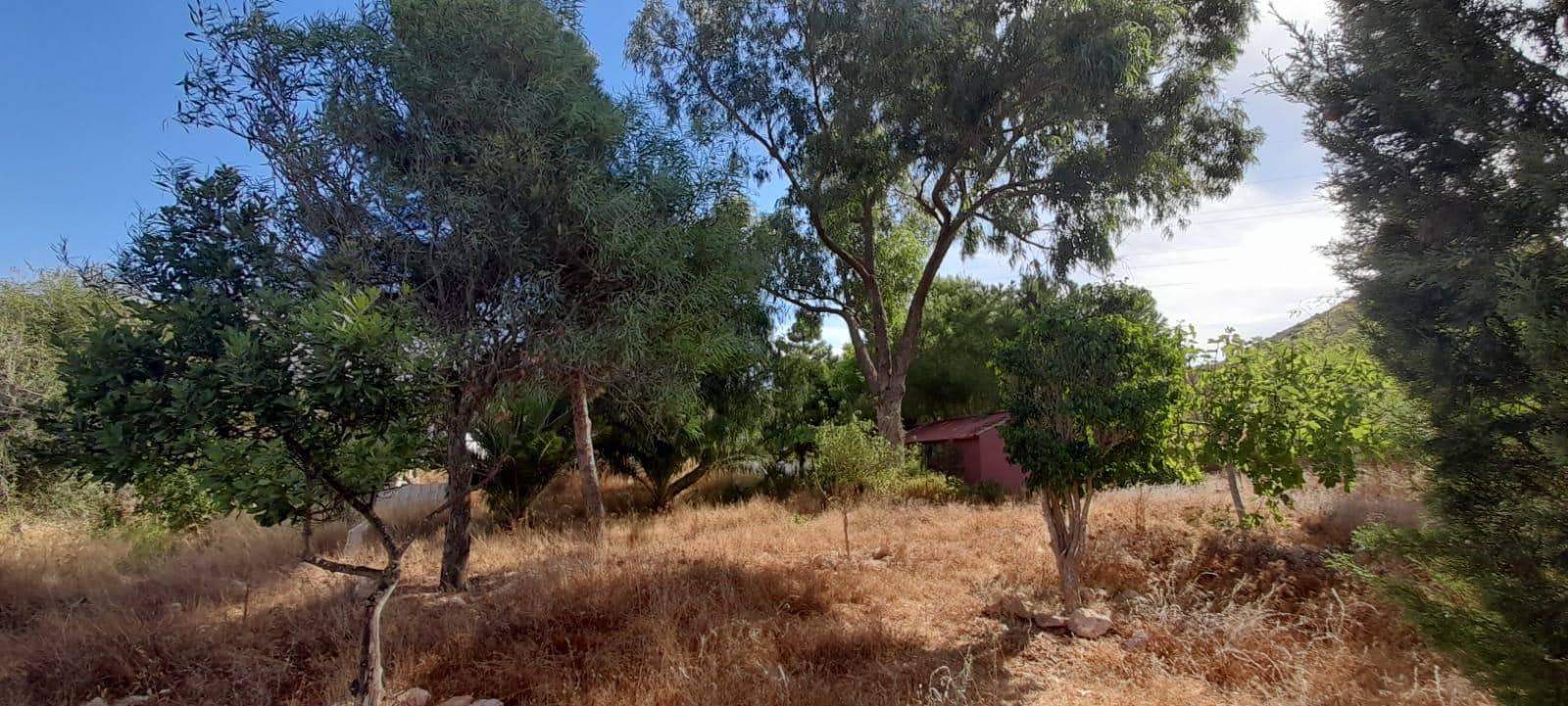 3 chambre Finca/Maison de Campagne à vendre à Las Palas avec garage - 199 900 € (Ref: 9990697)