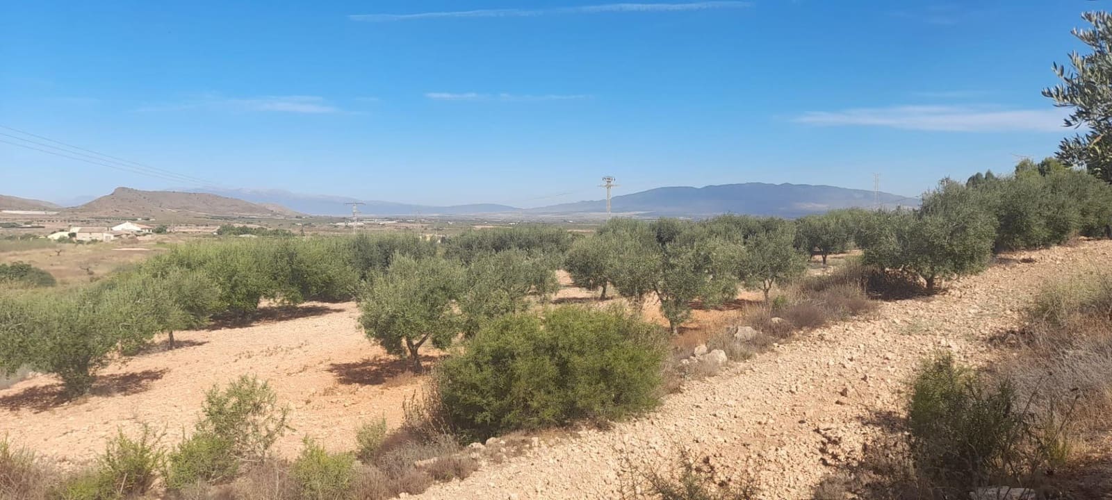 3 chambre Finca/Maison de Campagne à vendre à Las Palas avec garage - 199 900 € (Ref: 9990697)