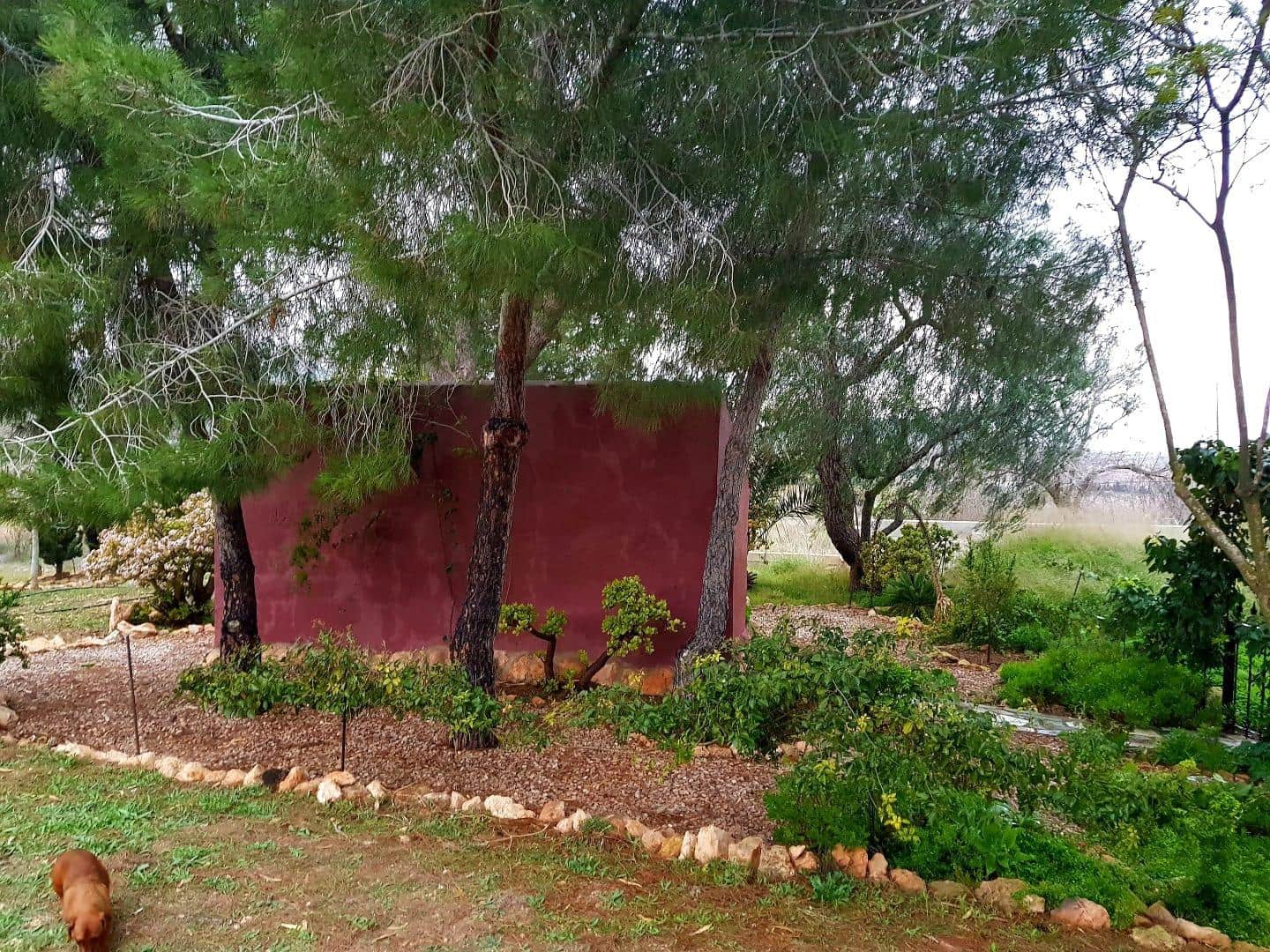 3 chambre Finca/Maison de Campagne à vendre à Las Palas avec garage - 199 900 € (Ref: 9990697)