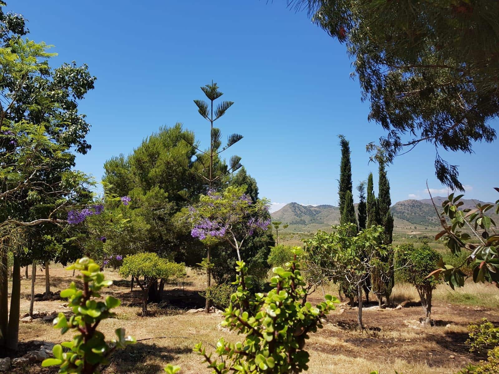 3 chambre Finca/Maison de Campagne à vendre à Las Palas avec garage - 199 900 € (Ref: 9990697)