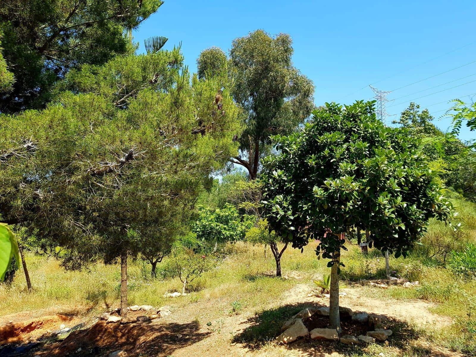 3 chambre Finca/Maison de Campagne à vendre à Las Palas avec garage - 199 900 € (Ref: 9990697)