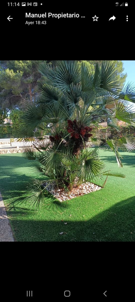6 Zimmer Villa zu verkaufen in Campoamor mit Pool - 875.000 € (Ref: 10063228)