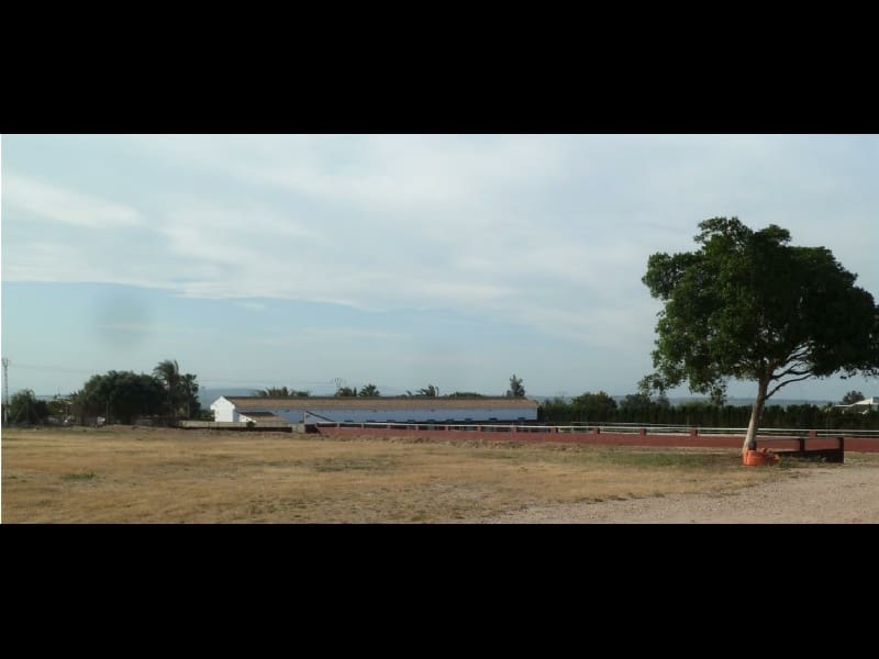 Landgrundstück zu verkaufen in San Miguel de Salinas - 456.000 € (Ref: 10063312)