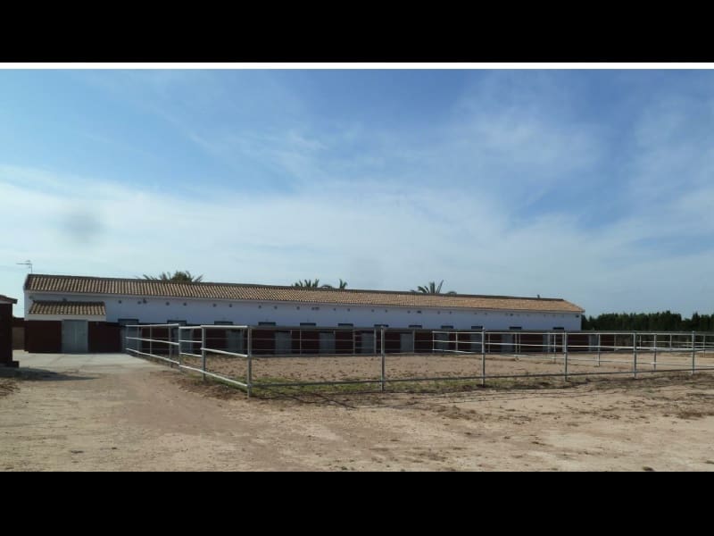 Landgrundstück zu verkaufen in San Miguel de Salinas - 456.000 € (Ref: 10063312)