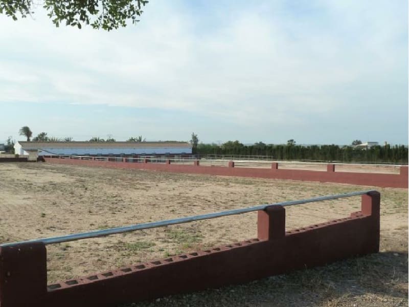 Landgrundstück zu verkaufen in San Miguel de Salinas - 456.000 € (Ref: 10063312)