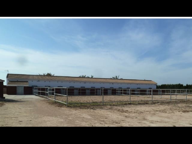Landgrundstück zu verkaufen in San Miguel de Salinas - 456.000 € (Ref: 10063312)