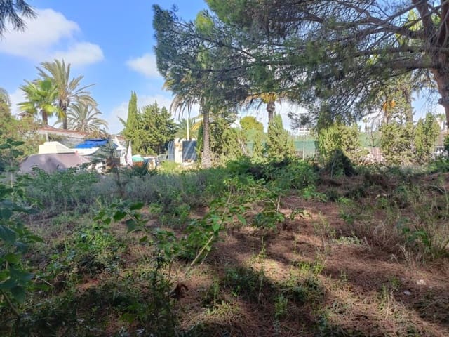 Undeveloped Land for sale in Cabo Roig, Orihuela - € 1,100,000 (Ref: 10063344)