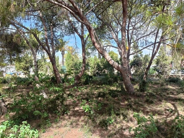 Undeveloped Land for sale in Cabo Roig, Orihuela - € 1,100,000 (Ref: 10063344)